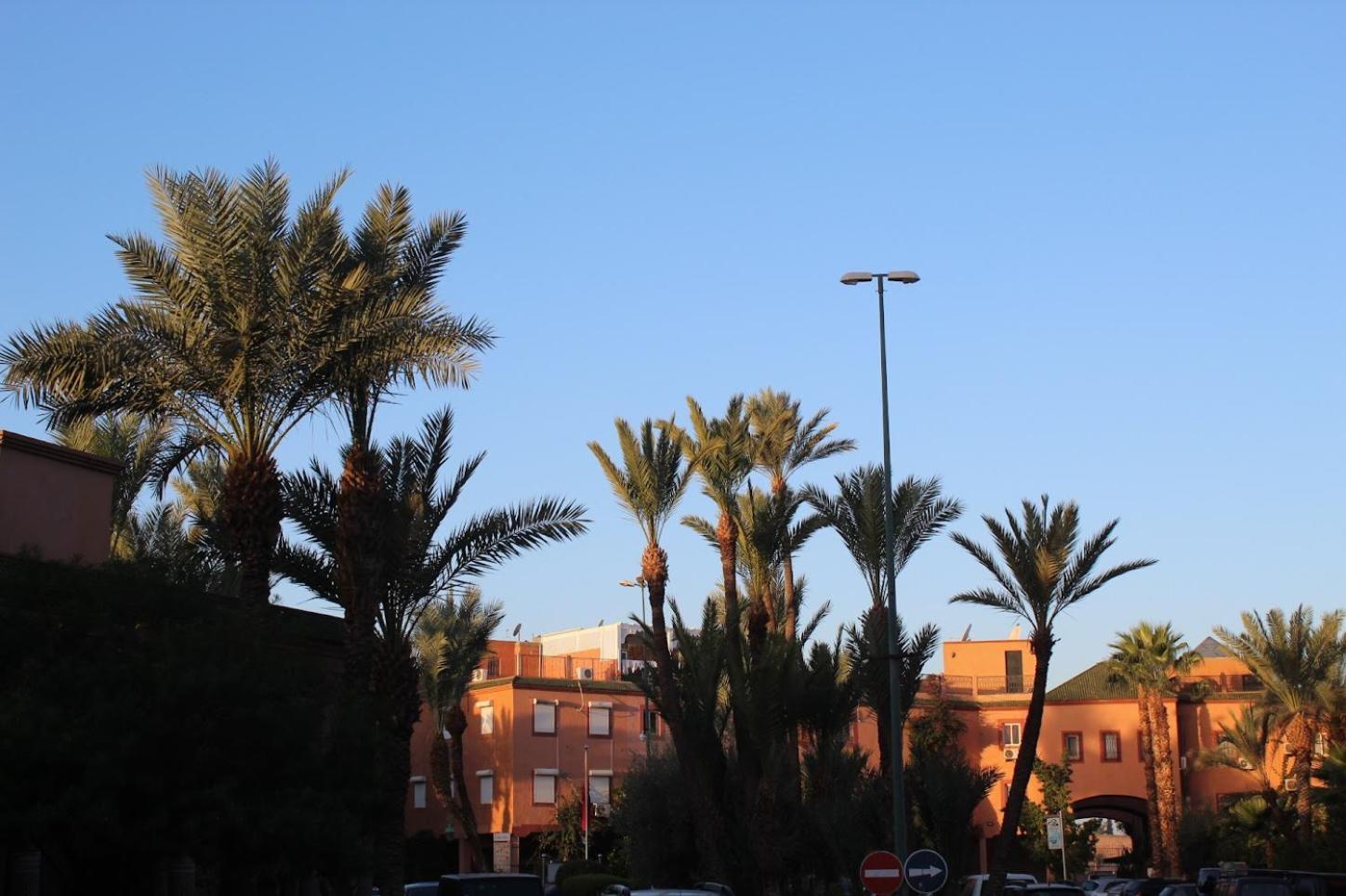 Riad Darnooz มาร์ราเกช ภายนอก รูปภาพ